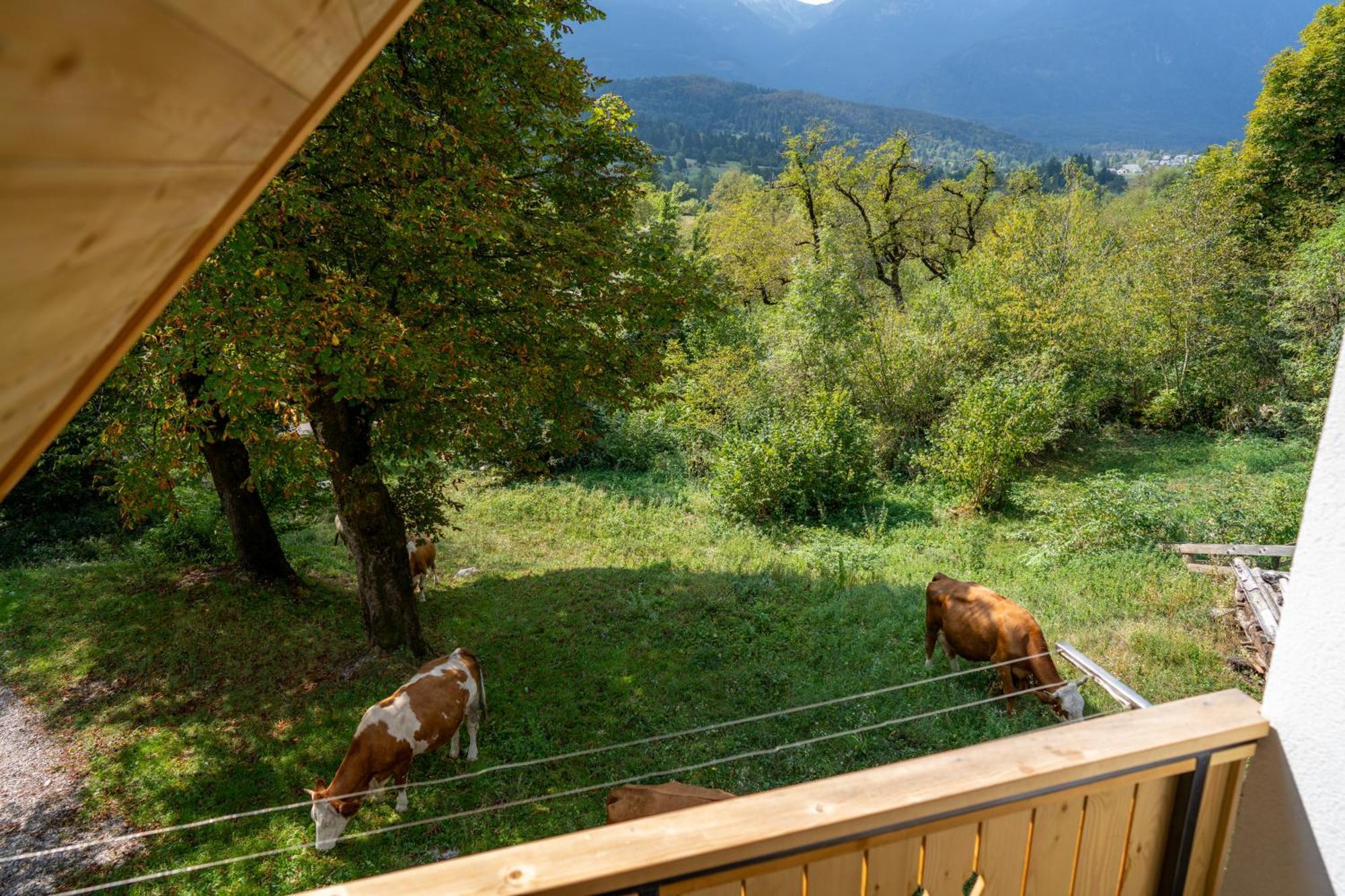 Orehar Apartment Bohinj